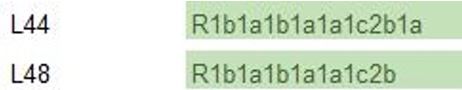 r-l44_r-l48